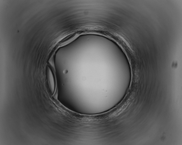 X0000098031065200804251409