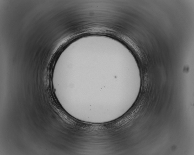 X0000098031067200804251409