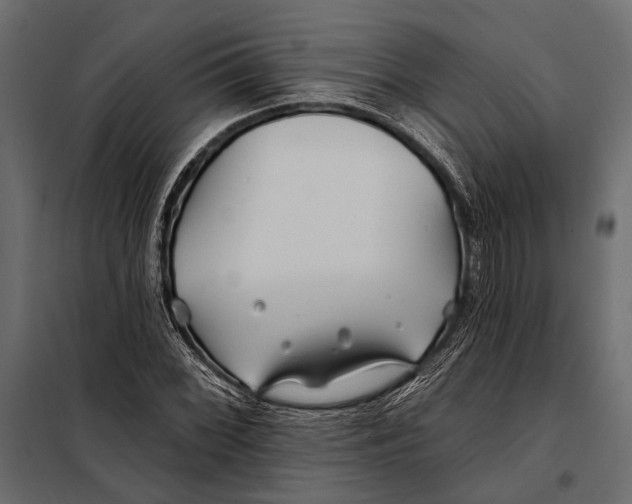 X0000098031068200804251409