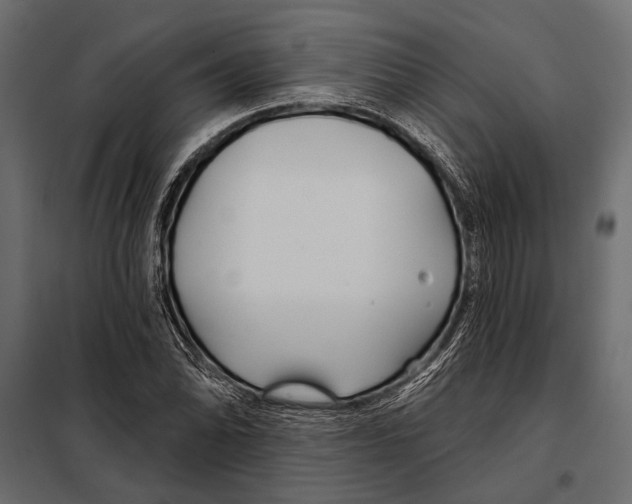 X0000098031070200804251409