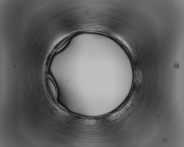 X0000098031071200804251409