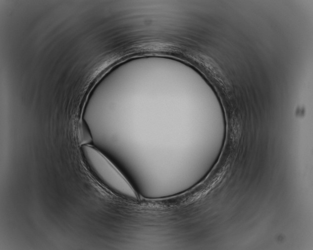 X0000098031073200804251409