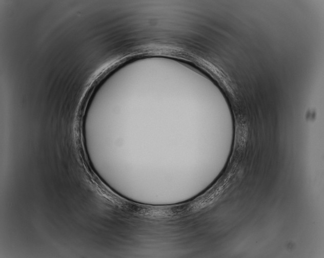 X0000098031074200804251409