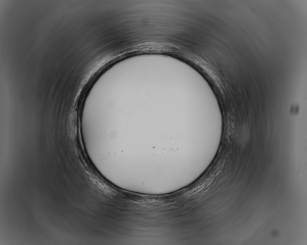 X0000098031075200804251409