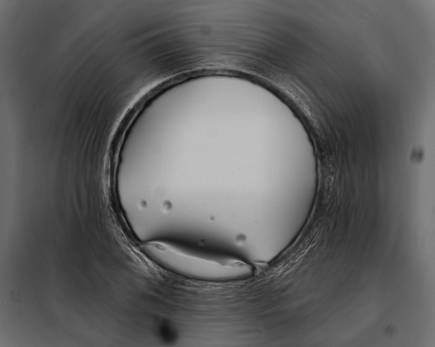 X0000098031076200804251409