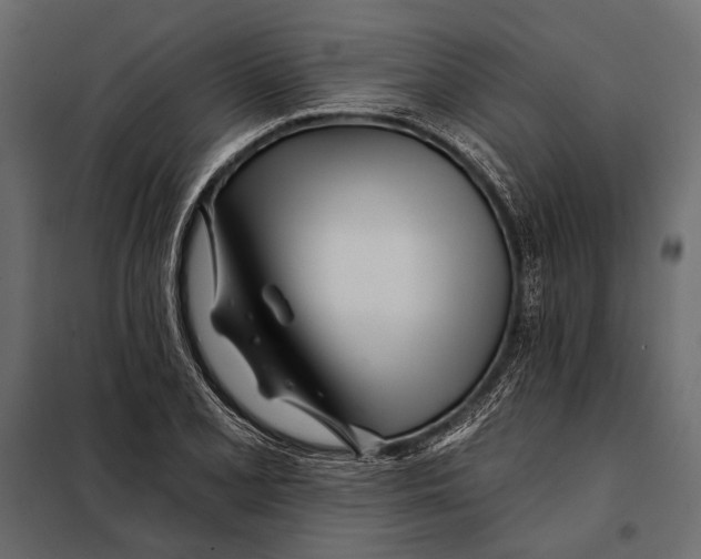 X0000098031077200804251409