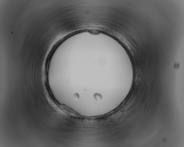 X0000098031080200804251409