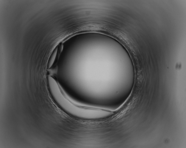 X0000098031081200804251409