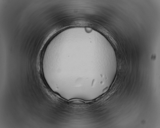 X0000098031083200804251409