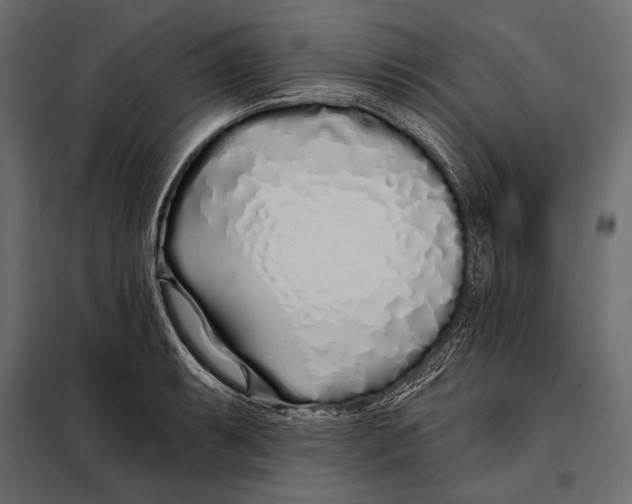 X0000098031087200804251409