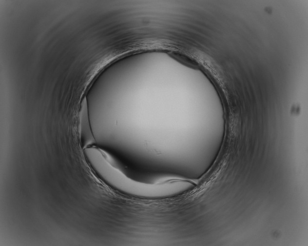 X0000098031089200804251409