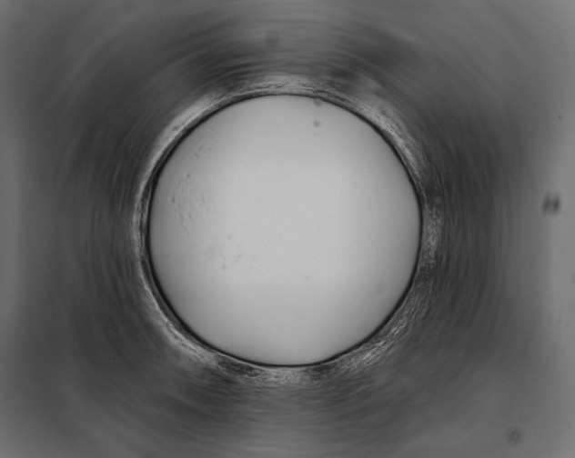 X0000098031090200804251409