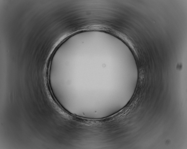 X0000098031091200804251409