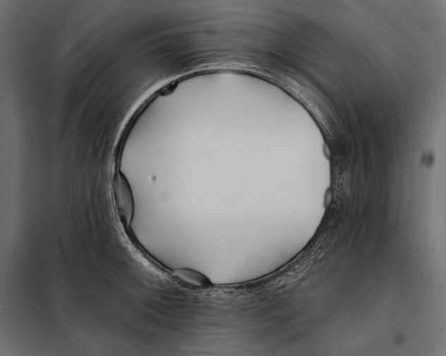 X0000098031092200804251409