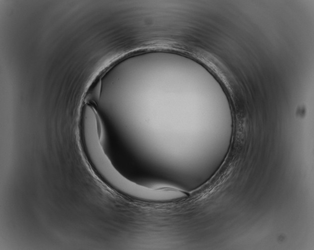 X0000098031093200804251409