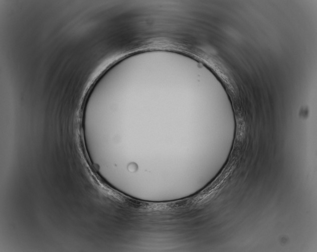 X0000098031094200804251409