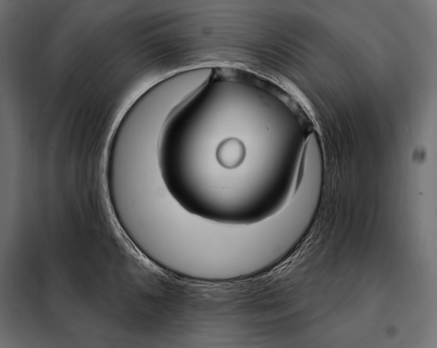 X0000098031096200804251409