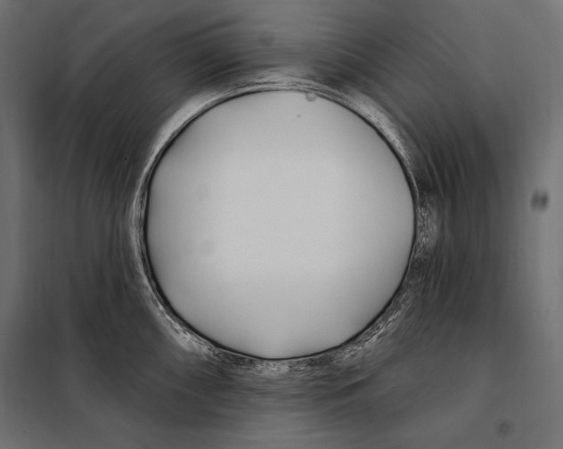 X0000098031098200804251409