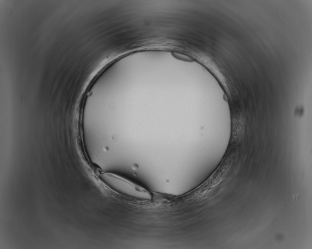 X0000098031099200804251409