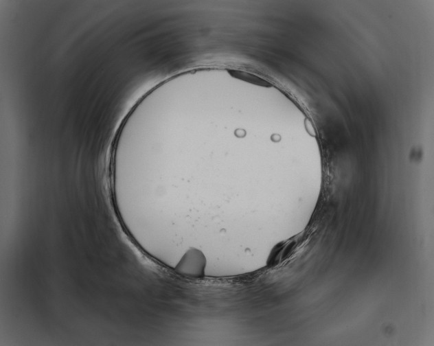 X0000098031103200804251409