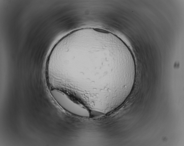 X0000098031104200804251409