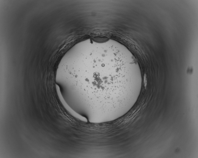 X0000098031107200804251408