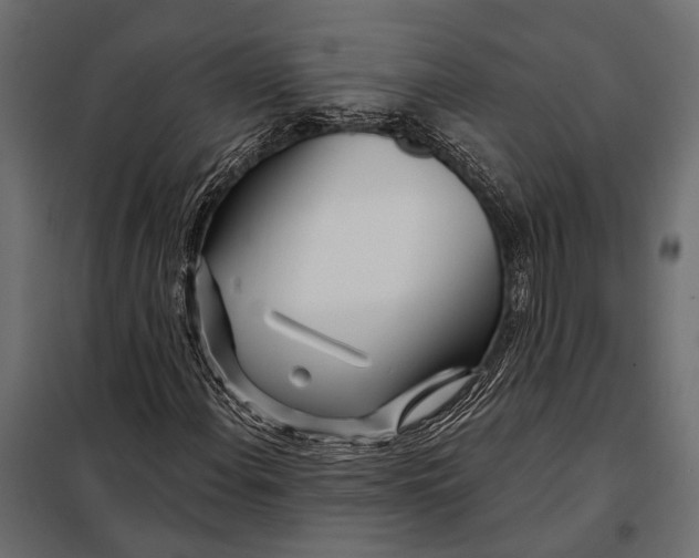 X0000098031108200804251408