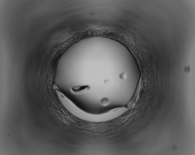 X0000098031109200804251408