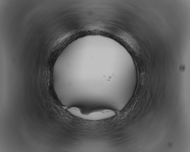 X0000098031111200804251408