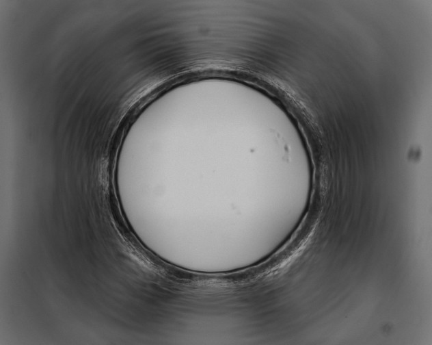 X0000098031113200804251408