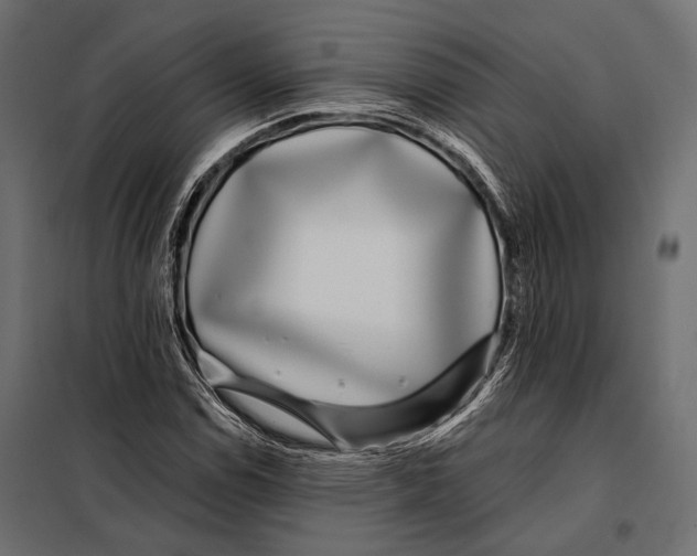 X0000098031114200804251408