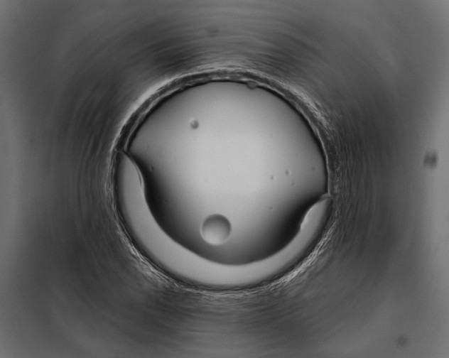 X0000098031118200804251408