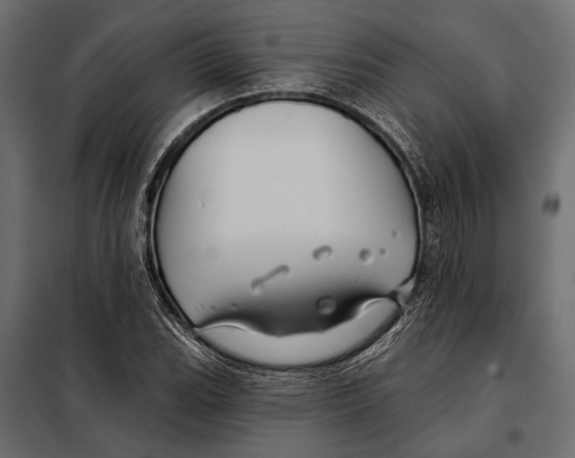 X0000098031119200804251408