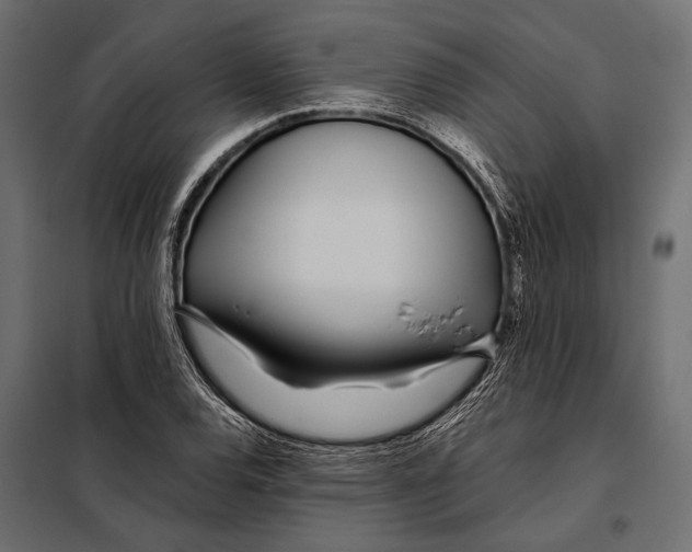 X0000098031120200804251408