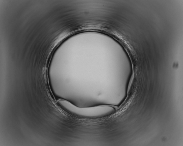 X0000098031121200804251408