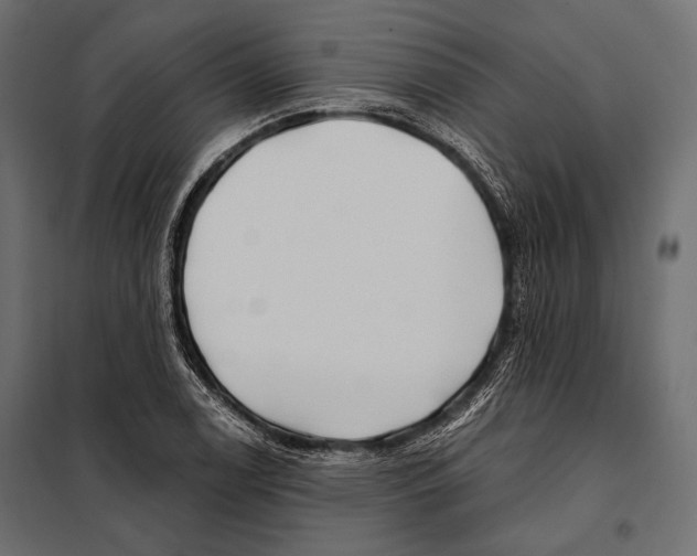 X0000098031122200804251408