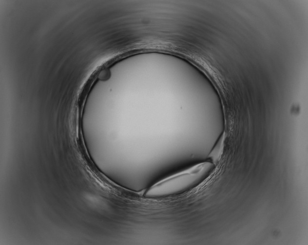 X0000098031123200804251408