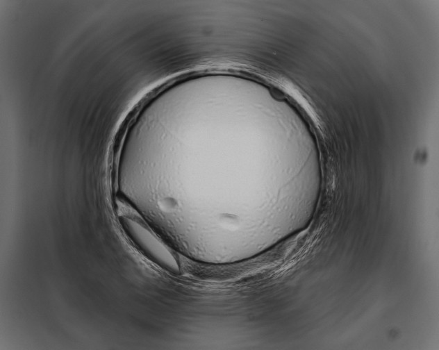 X0000098031124200804251408