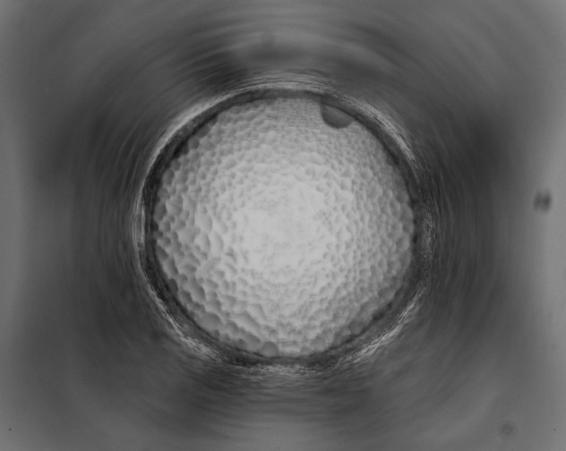 X0000098031125200804251408