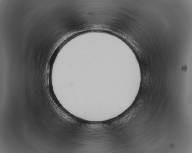 X0000098031126200804251408