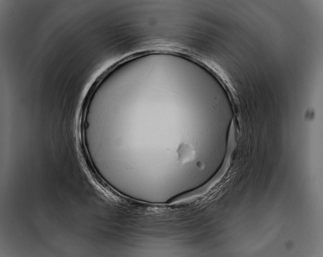 X0000098031128200804251408