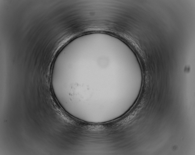 X0000098031129200804251408