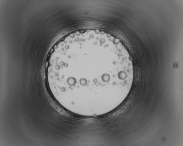 X0000098031130200804251408