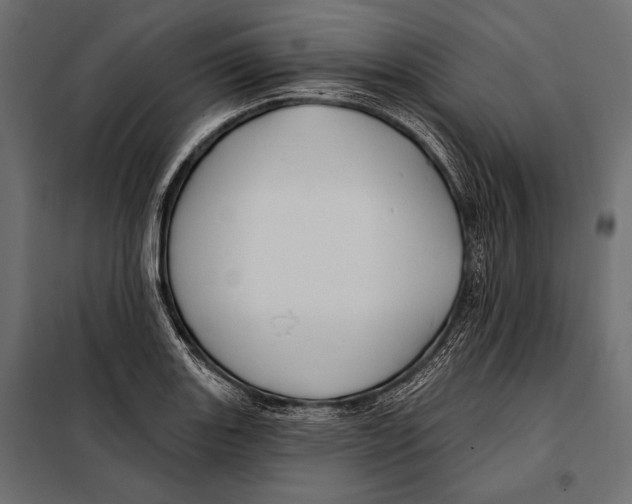 X0000098031131200804251408