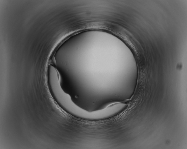 X0000098031132200804251408