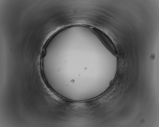 X0000098031134200804251408