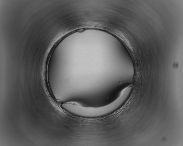 X0000098031136200804251408