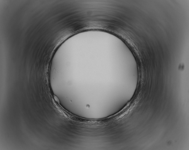 X0000098031137200804251408