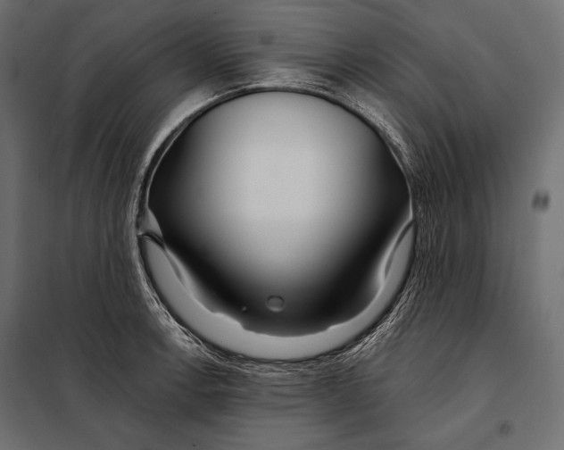 X0000098031138200804251408