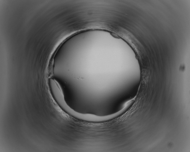 X0000098031140200804251409